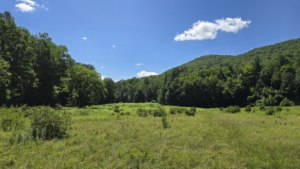 Fenn Farm