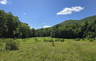 Fenn Farm